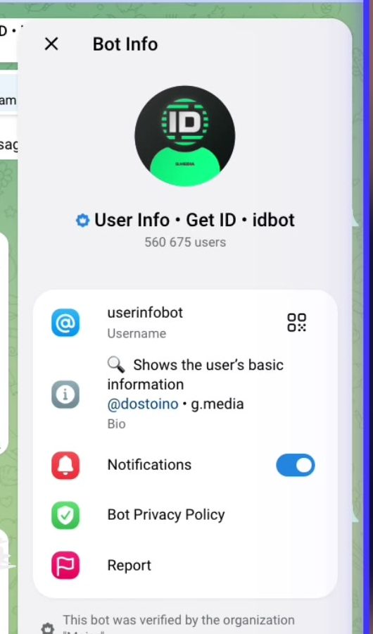 صفحة User Info Bot التي تظهر اسم المستخدم وتشرح وظيفته